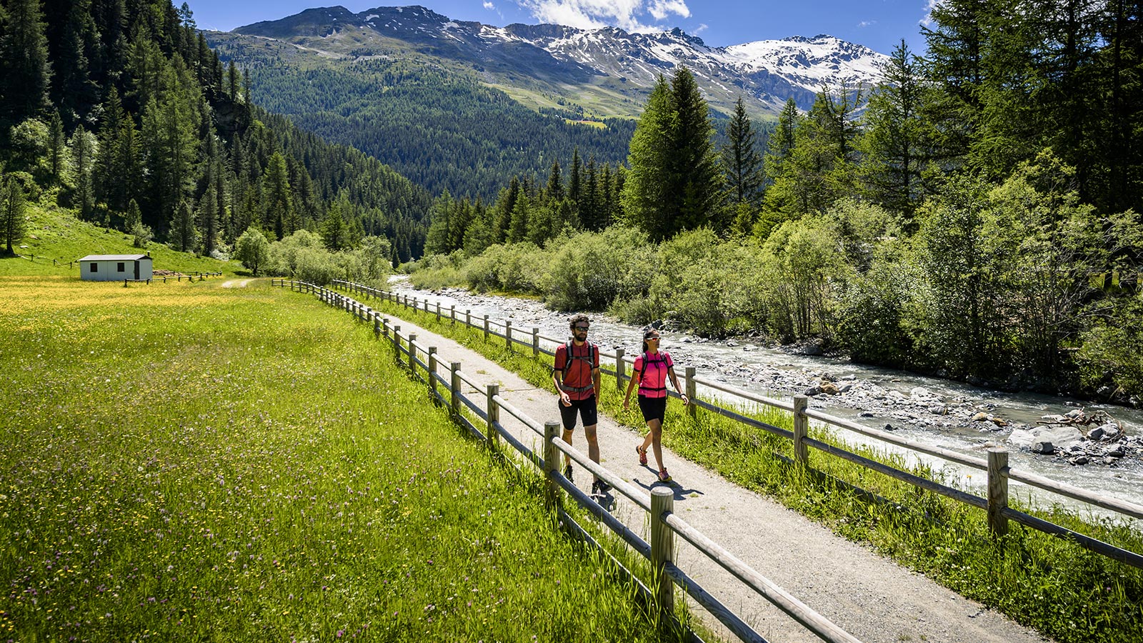 Due corridori durante il periodo estivo si godono una passeggiata sul Parco Nazionale dello Stelvio